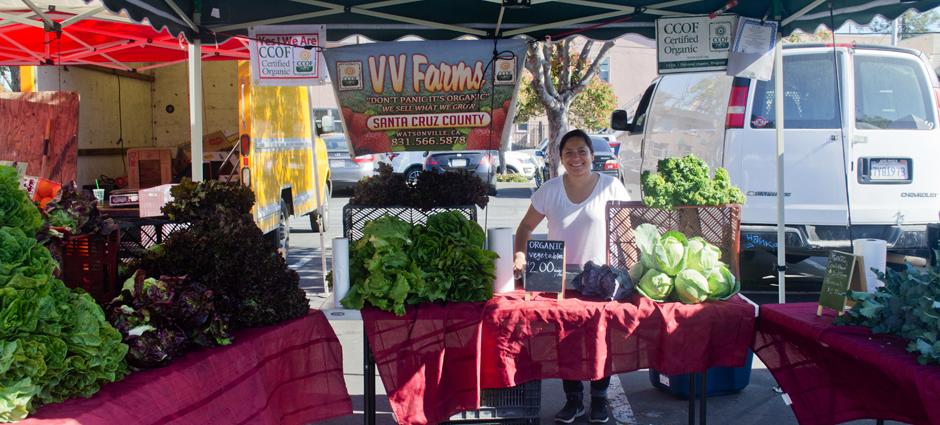 VV Farm Sunshine Organic | PCFMA