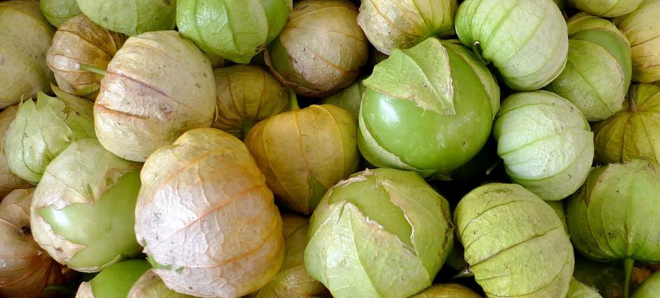 tomatillos