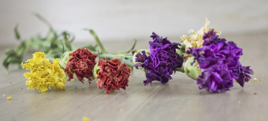 Dried flowers