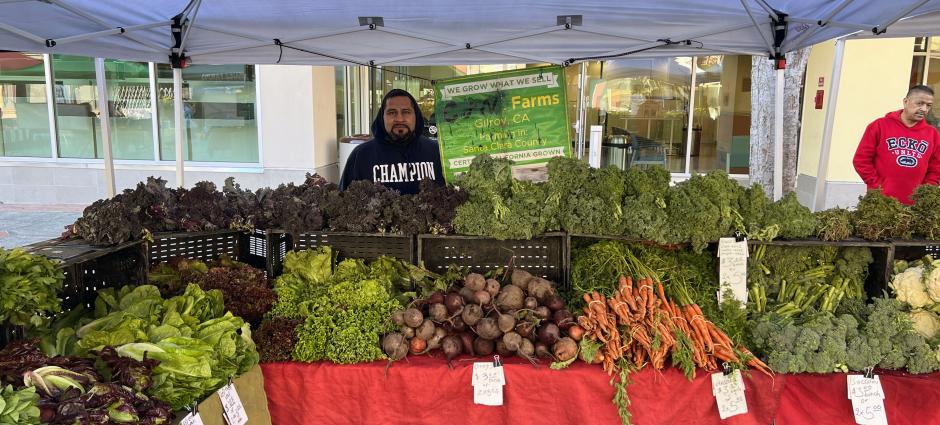 A worker stands behind an array of vegetables at C + N Farm booth