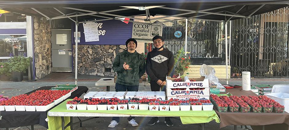 Friendly Kem Farms workers pose behind strawberries