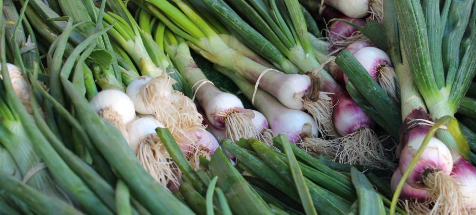 green garlic