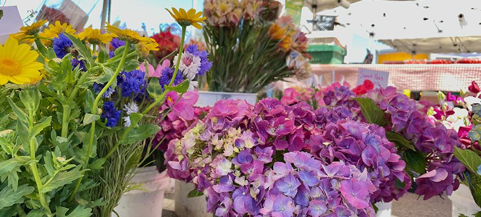 Contreras Flower Farm San Mateo Farmers’ Market