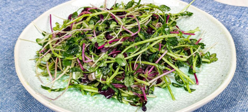 microgreens slaw