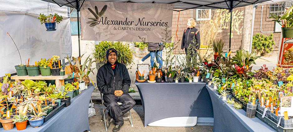 Alexander Nurseries & Garden Design