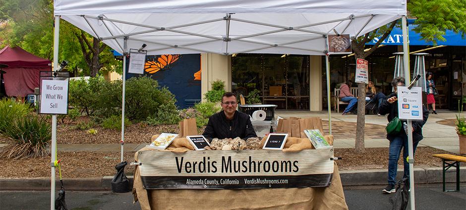 Verdis mushrooms at the market