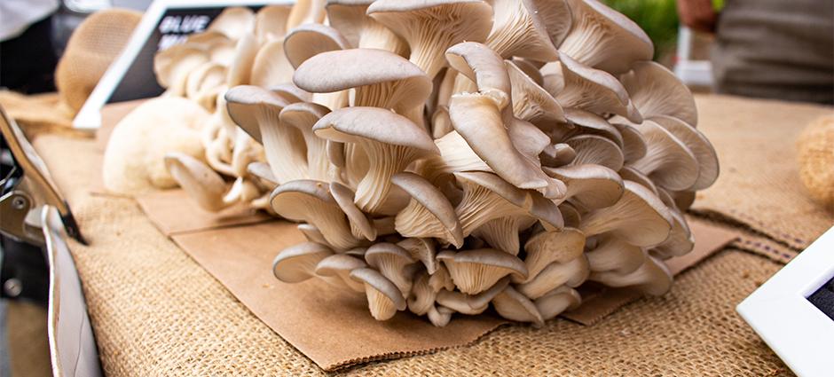 Closeup of Verdis Mushrooms at the market