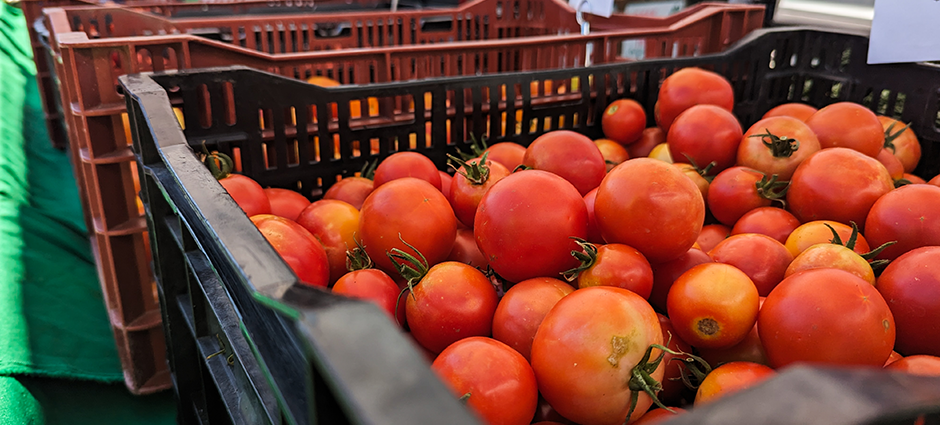 Piles of cherry tomatoes from COI Farm