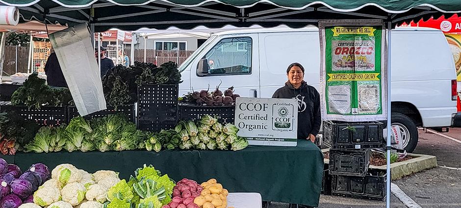 Orozco Farms stall at the Danville Farmers' Market