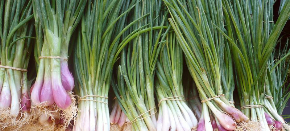 spring onions