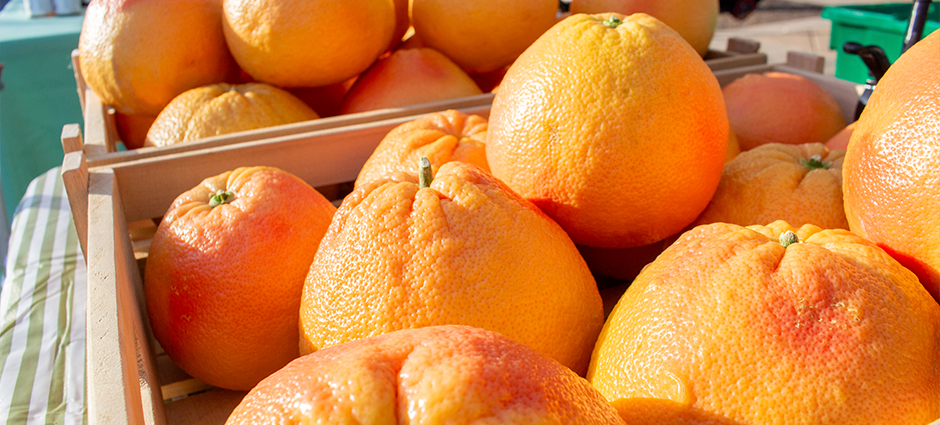 The Brentwood Citrus Company booth at the Brentwood Farmers' Market, surrounded by citrus