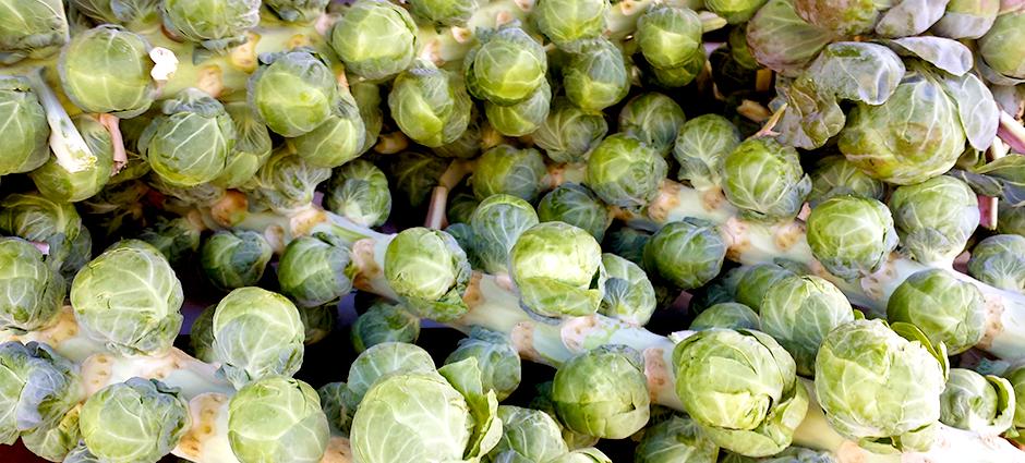 Brussel Sprouts