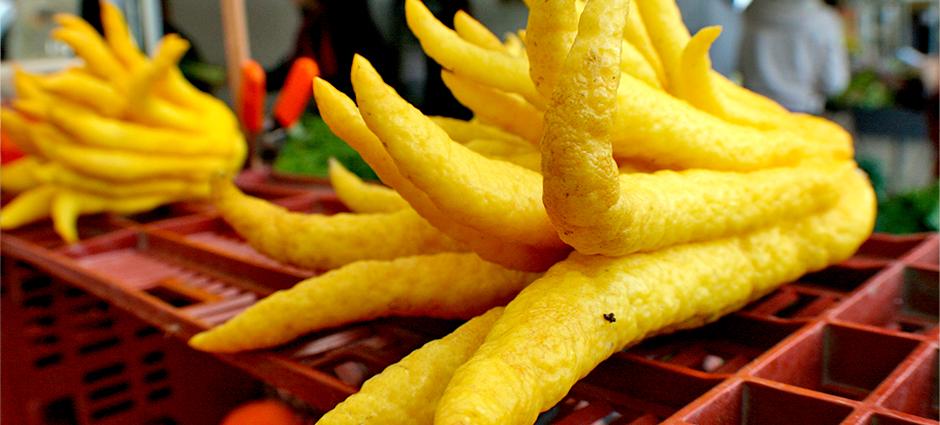 Buddha's Hand
