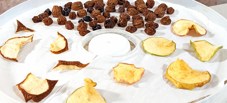 Make your Own Raisins