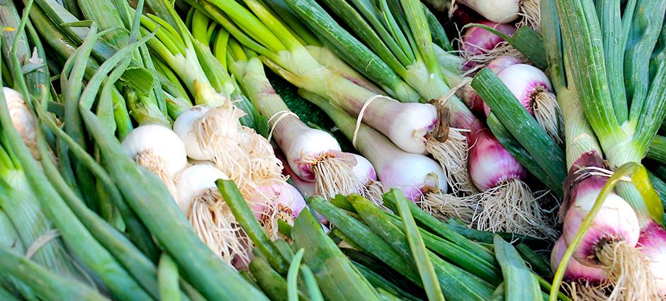 Spring into Flavor - Spring Onions and S | PCFMA