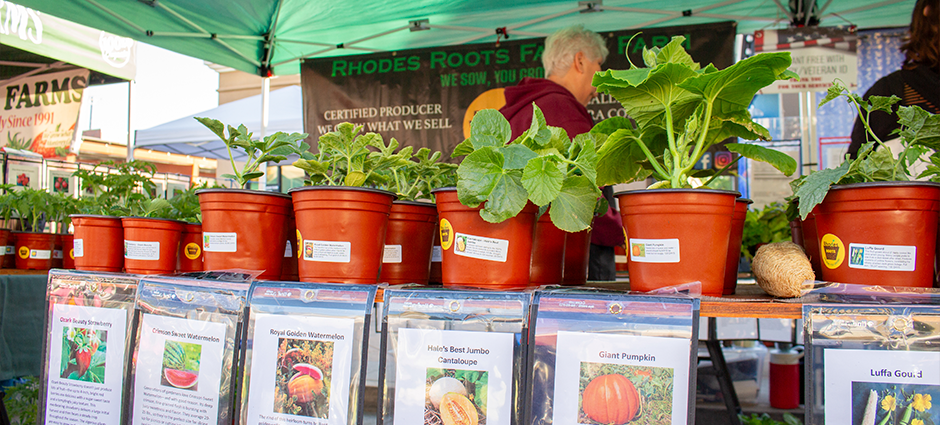 plants with signs at the Rhodes Roots stall at the Brentwood farmers' market