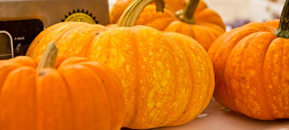 Pumpkin