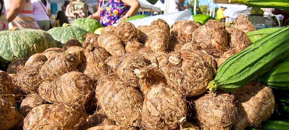 Taro Root