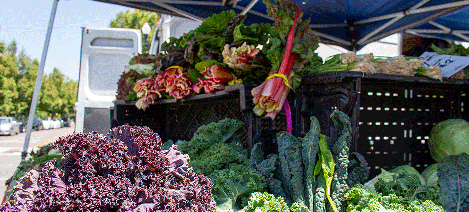 Ald & Y Organics stack of organic mixed vegetables