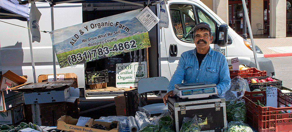 Smiling owner of Ald & Y Organic behind a table full of produce at the Evergreen Farmers' Market