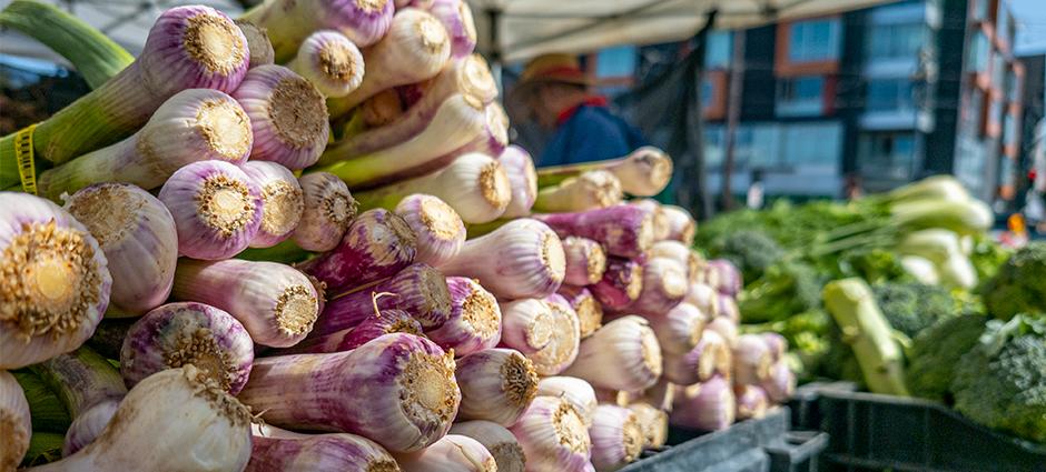 Green Garlic