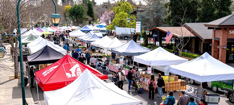 PCFMA Welcomes New Board Members