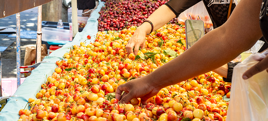 Customers reaching for large bins of cherries at the farmers' market