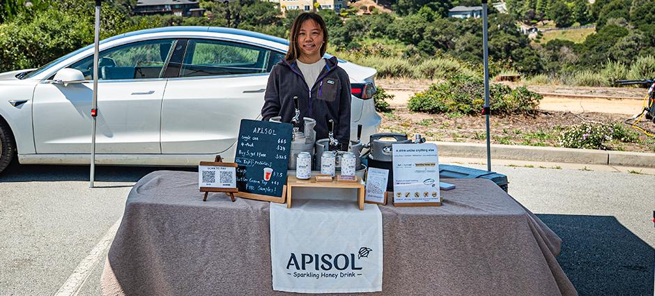 APISOL