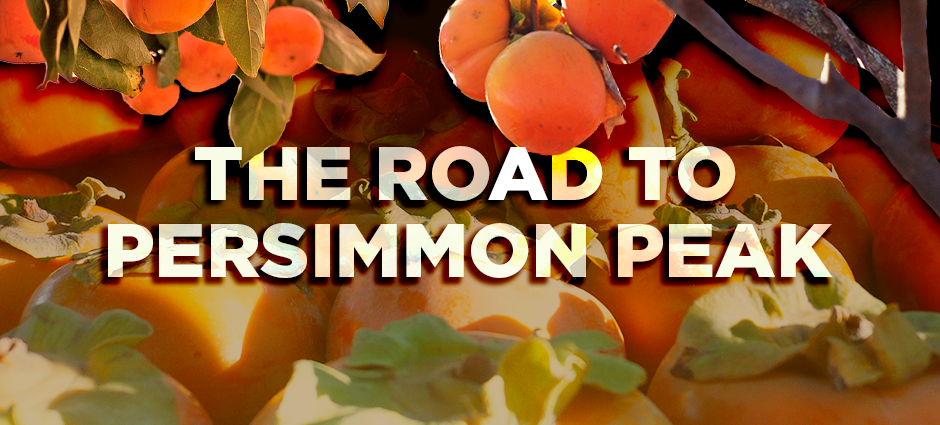 The Road to Persimmon Peak